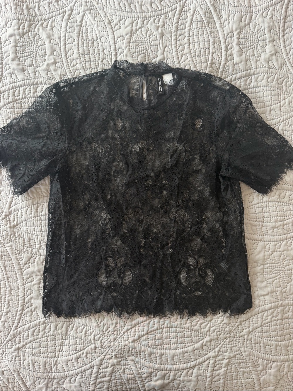 NEW Divided Sheer Black Floral Lace Short Sleeve Blouse Small 2 NWOT
